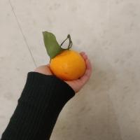 Фатима 