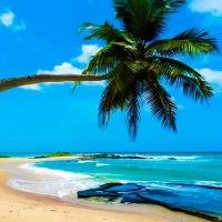 TravelingMom