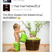 shahshah82
