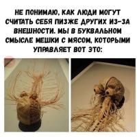 жибек