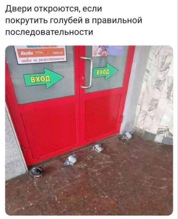 post image 4