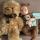 anya_pushkin