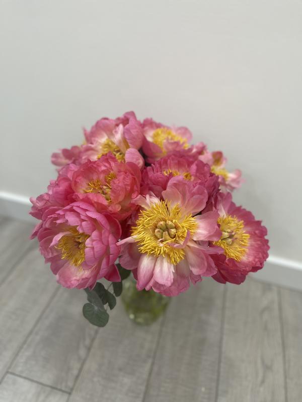 post image 5