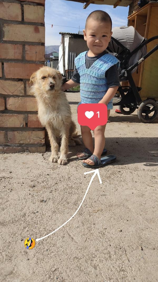 post image