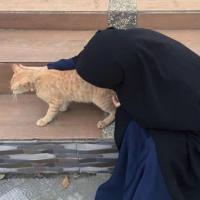 🌹 أم فاطمة🌹