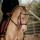 hadiya0606