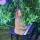 lady_bina