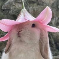Наталья