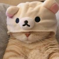 Дарья 