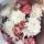 nesturova_010