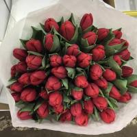 mary_bln