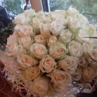 Марина Балашова