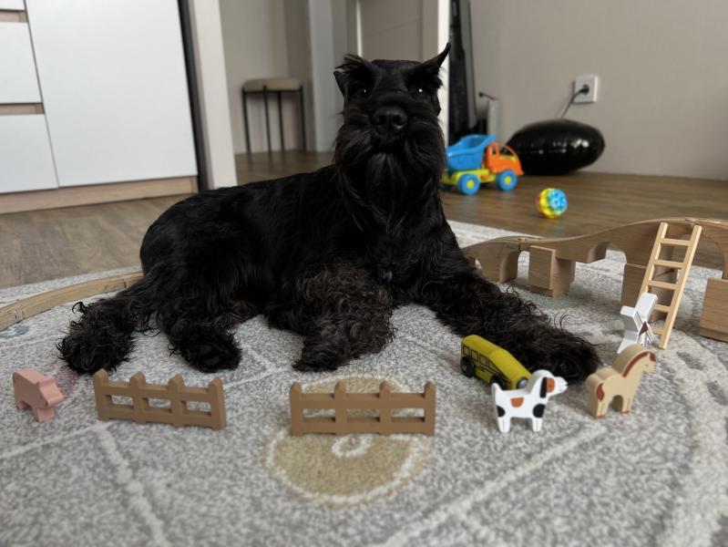 post image 5