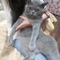Милена 