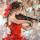 cello240278