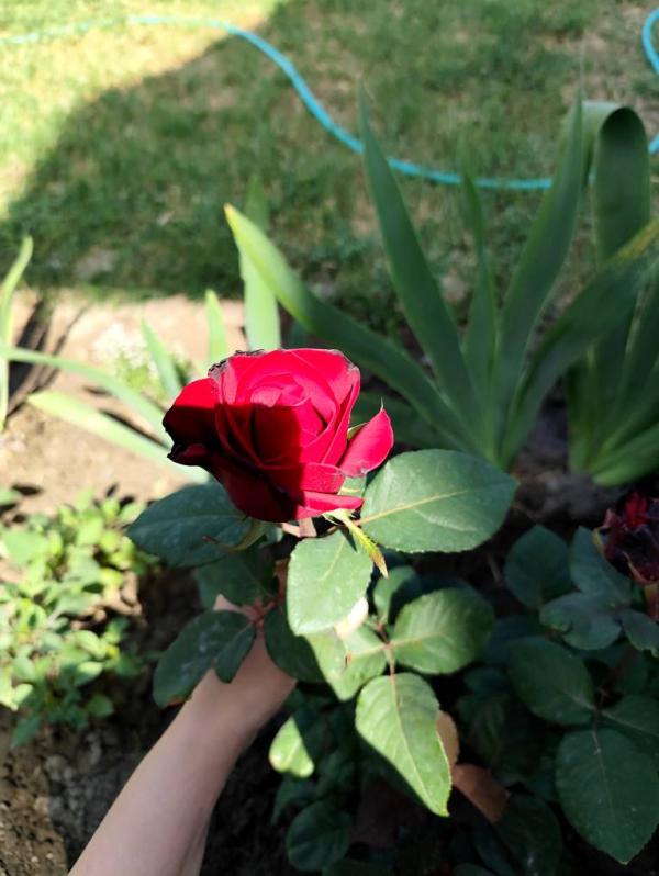 post image 5