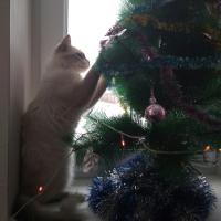 Екатерина