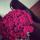 mado111