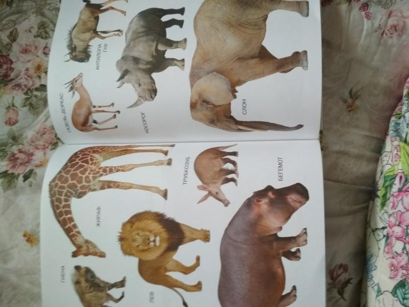 post image 5