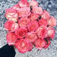 anush