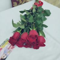 Камила