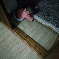 Патя 