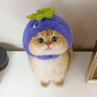 Катерина