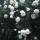 mariam9105