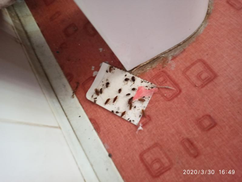 post image 4