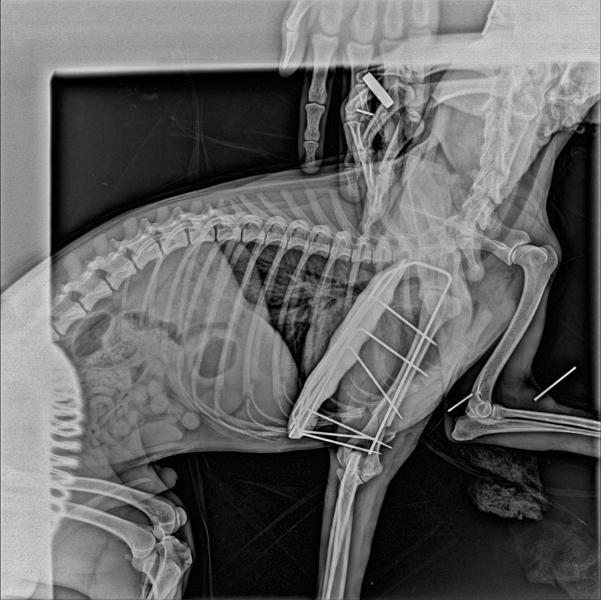 post image 3