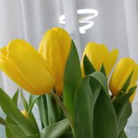 Самал