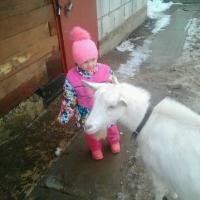 Даша