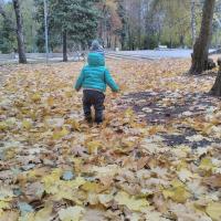 Елена Скачкова