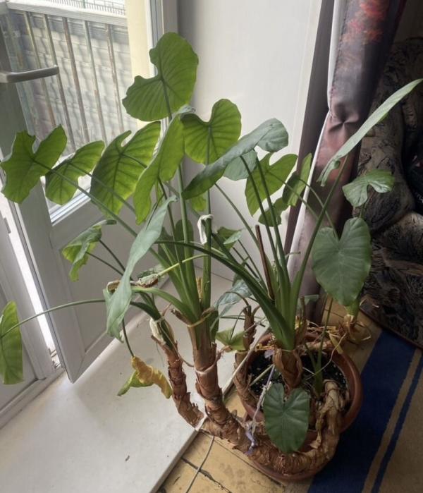 post image 1