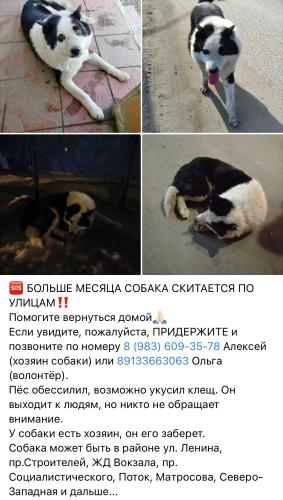 post image