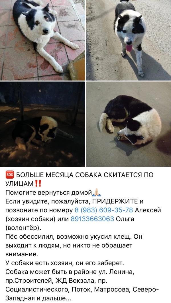 post image