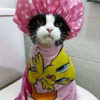 марина