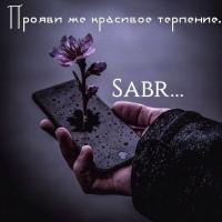 Малина