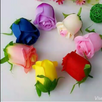 liza 2805