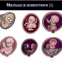 иклклдв