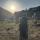 mobikom_2224