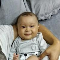 nicol'