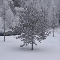 Юлия