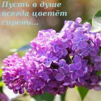 Айгерим 
