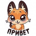 Светлана Кущ