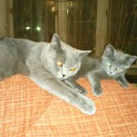 Татьяна Иванова