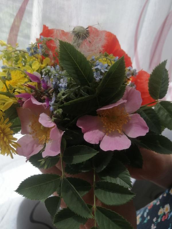 post image 5