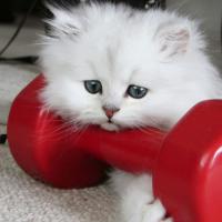 Евгения