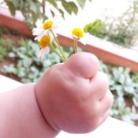 🌸