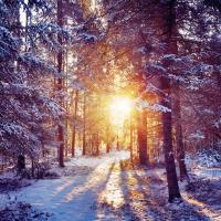 mildwinter